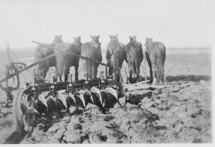 Disc-plough1