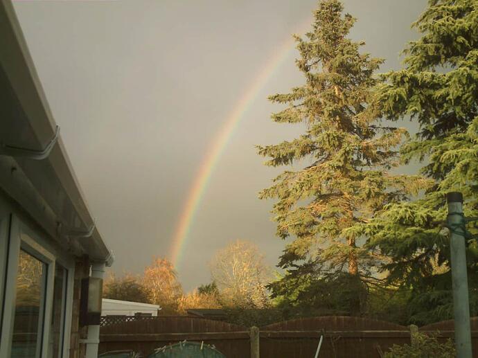 rainbow Nov '20 002
