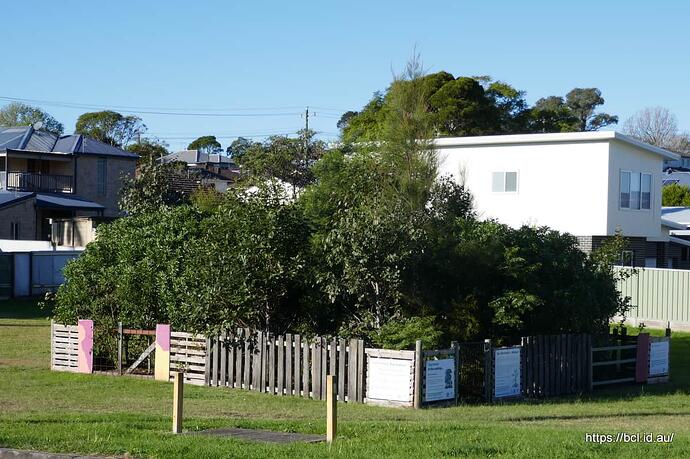 P1050113