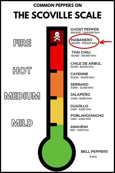 habanero-pepper-scoville-scale-heat-units