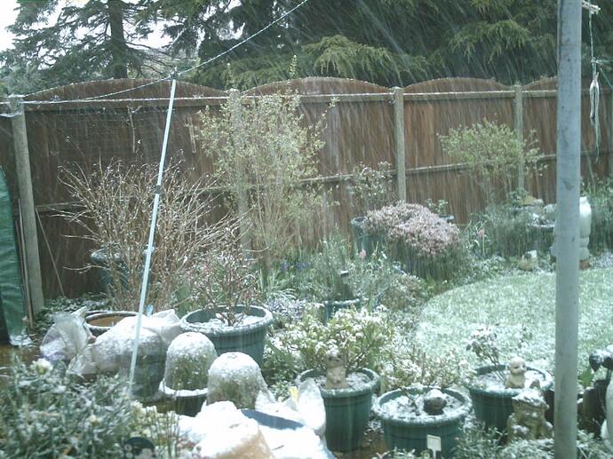 SNOW 30 March '22 007