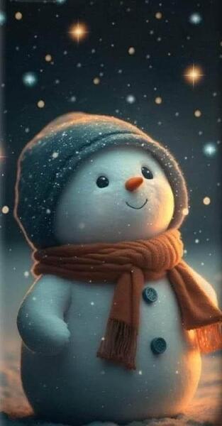 snowman night