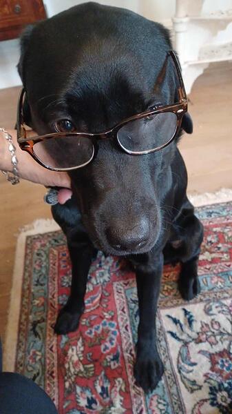 att.cJDH-zSkDwF_pcQLolUwYe8czZ_vwa9OtRzdpq8gILg