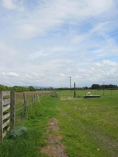 L3 Path Alongside Field-Grassy