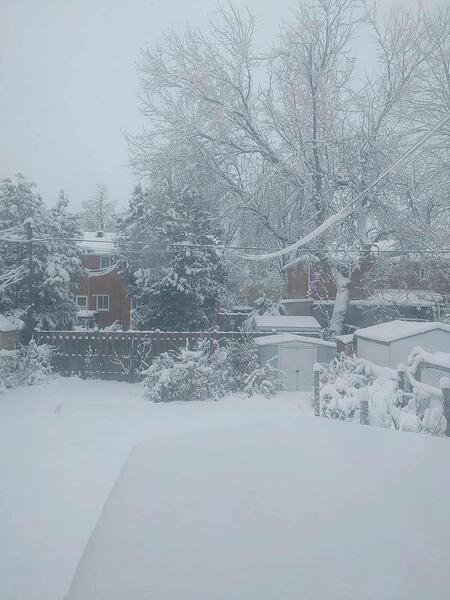 Snow_Backyard_Picture_From_My_Bedroom_Window_November-2025