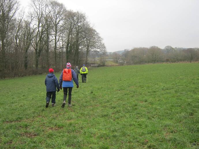 09b Path_Across_Field-Muddy