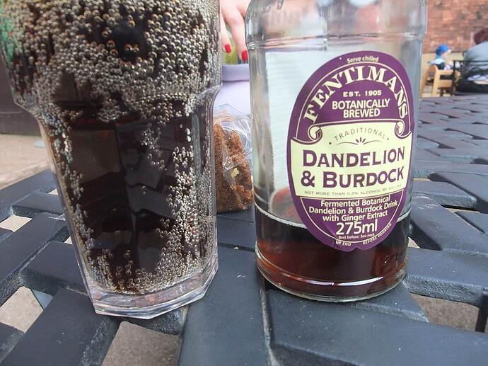 1200px-Dandelion_and_burdock-669037371