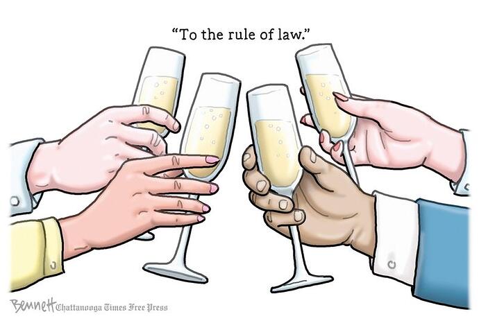 a rule of law toast