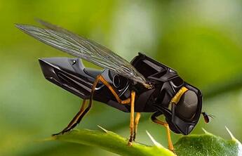 01-DARPA ROBO-FLY