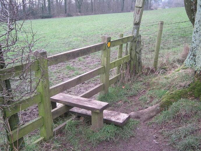 08a Timber_Double_Step_Rail_Stile_Onto_Path_Across_Field