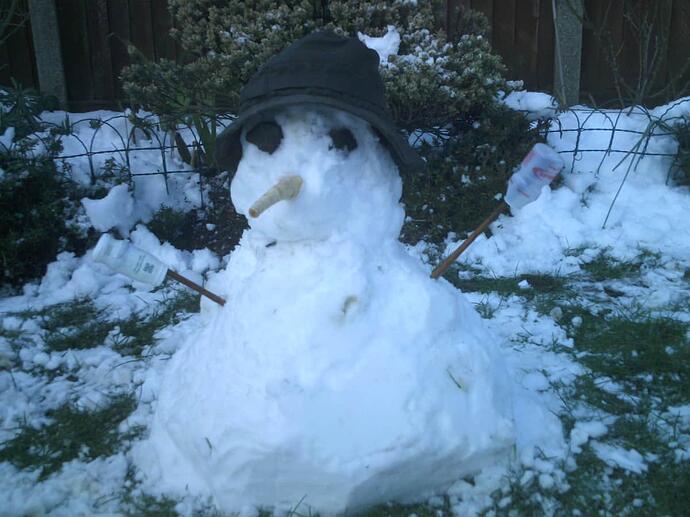 Snowman  Jan '21 024