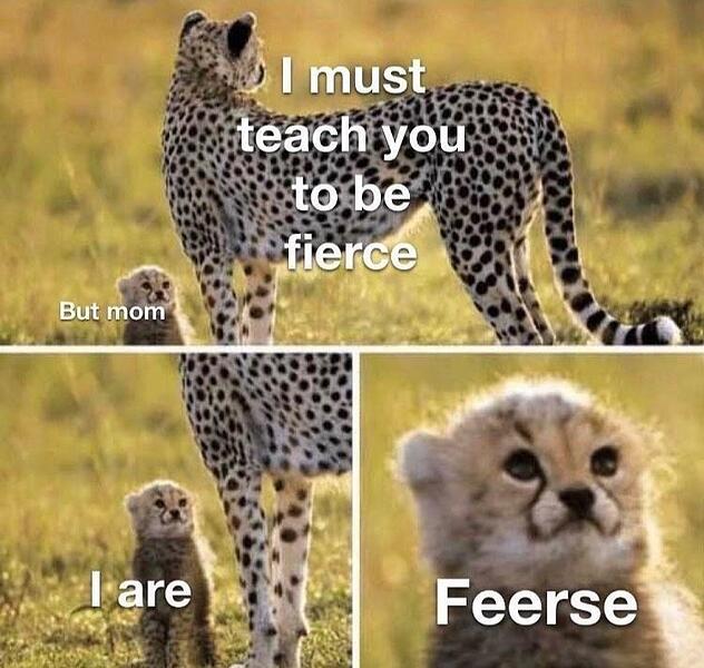 cheetah-must-teach-be-fierce-but-mom-are-feerse