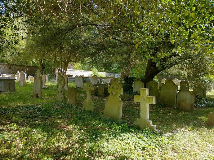 IMG_20230702_111222227_HDR