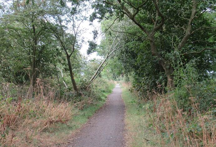 08 Trans Pennine Trail