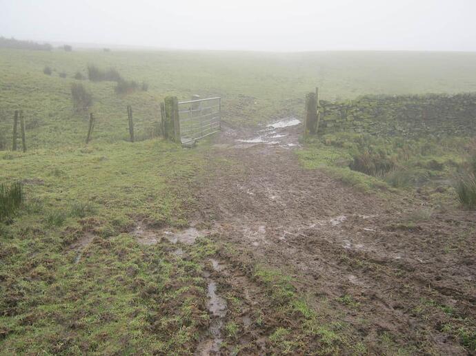 32a Large Metal Gate In Field-Extremely Muddy