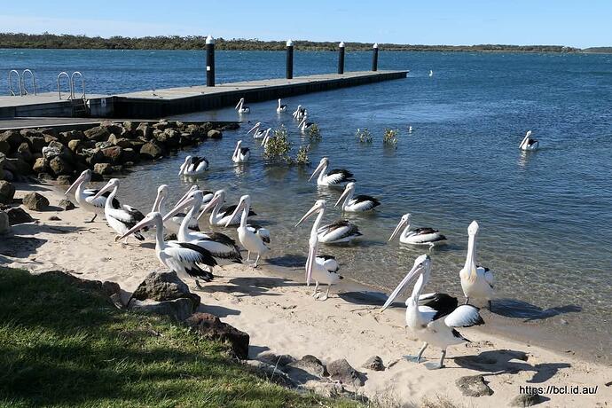 220918 047 Greenwell Point