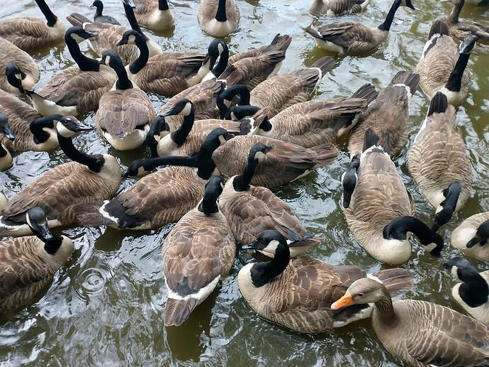 IMG_20230712_103814556_HDR