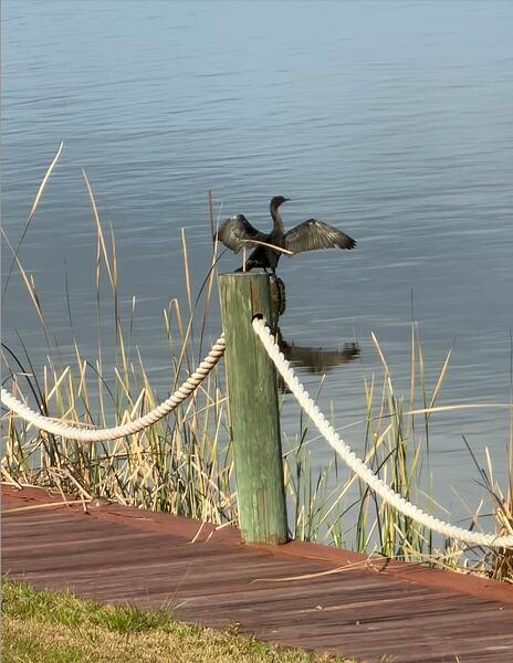 Screenshot 2025-12-14 at 9.47.30 PM