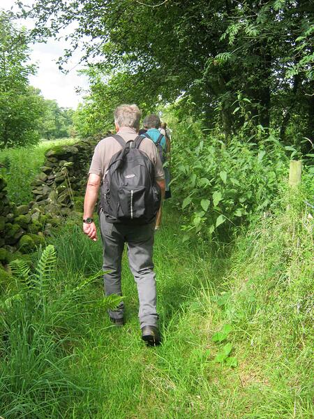 zv6 Path Alongside Field-Grassy