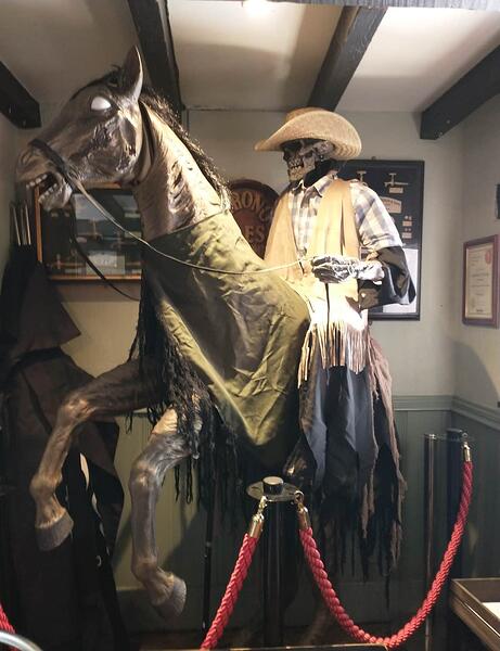 IMG_20250517_114654453 (1)