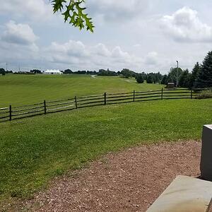 the field