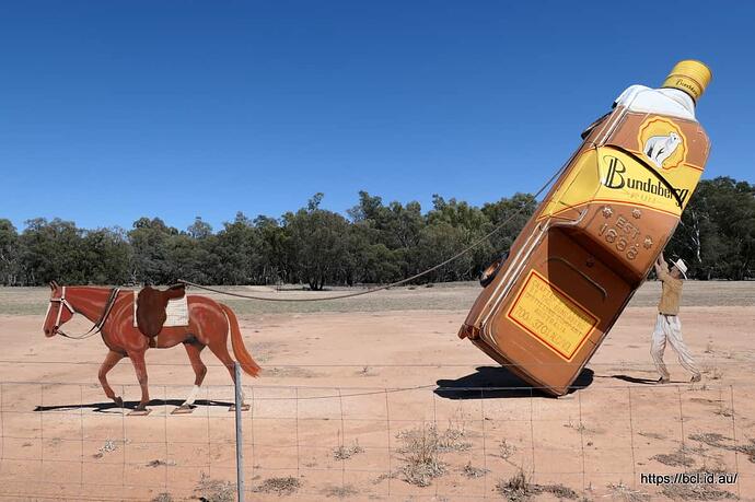 251121 004 Utes in the Paddock Condobolin