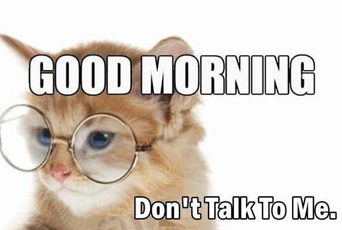 funny-good-morning-memes-with-images