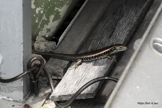 vlcsnap-2025-12-14-11h36m16s905