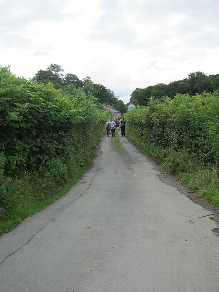 Q4 Track Between Fields-Tarmac