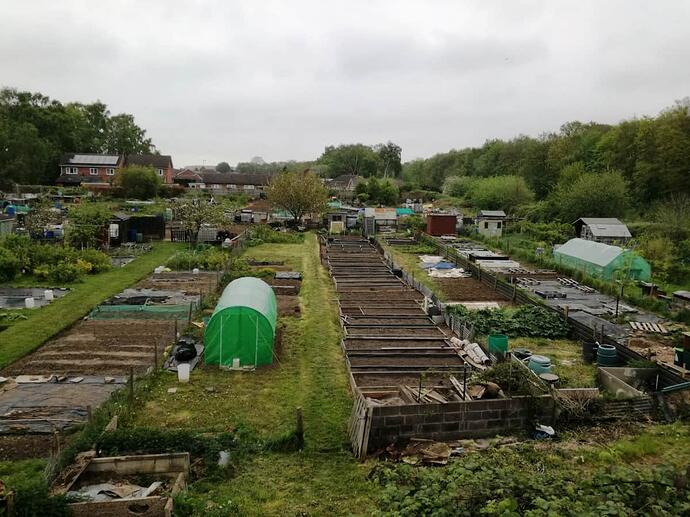 Allotment