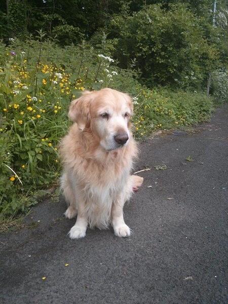 Bracken sitting-2