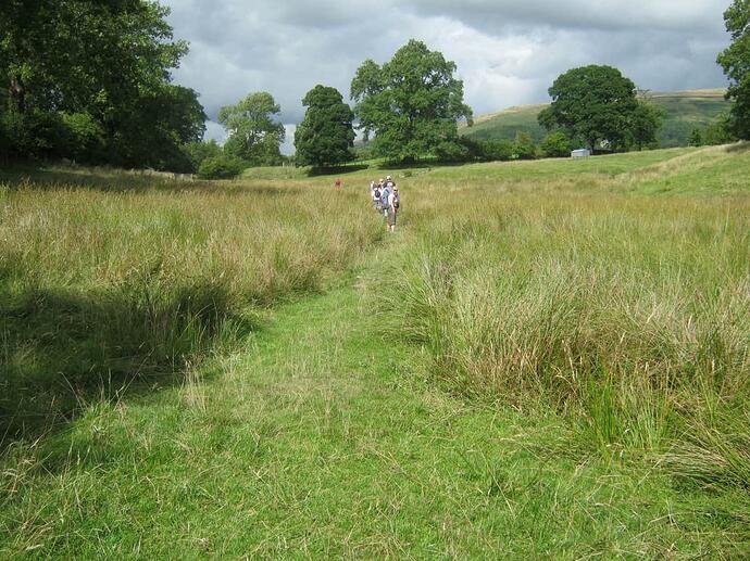 zu5 Path Across Field-Stoney