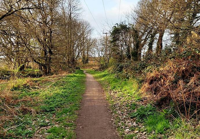 A walk in the woods