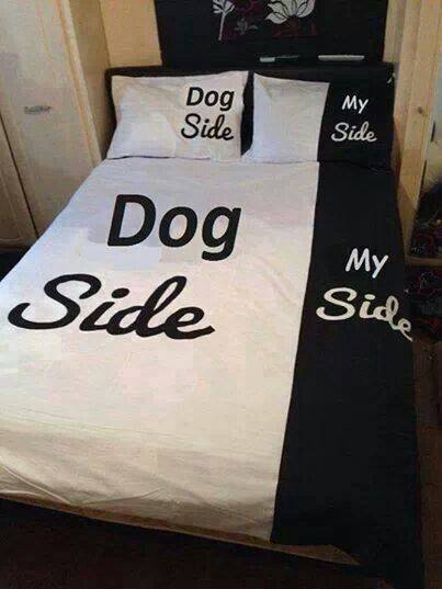 dog side