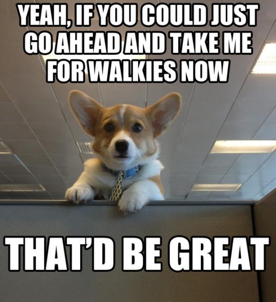 bring-your-dog-to-work-day-22839-548x600