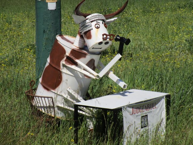 Judge-a-Bull