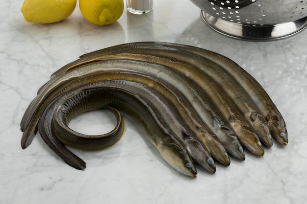 fresh-raw-eels-kitchen-ready-cook-close-up_857988-3402-2469406169