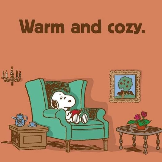 warm and cozy