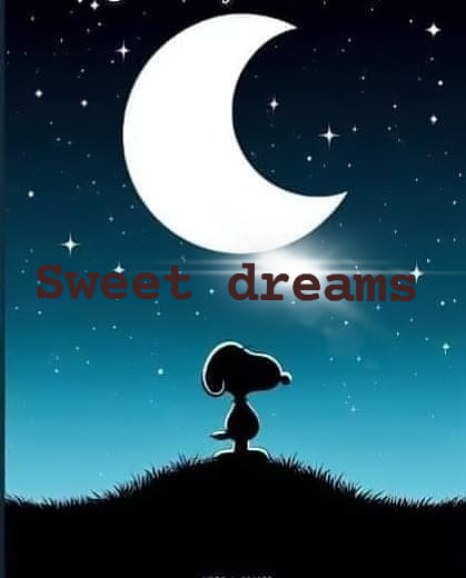 sweet dreams