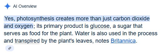 Photosynthesis