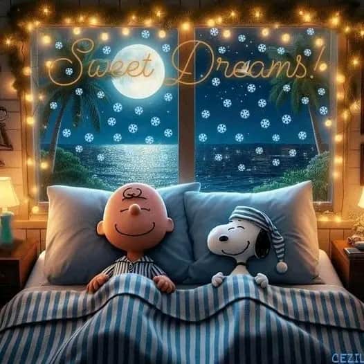 sweet dreaems