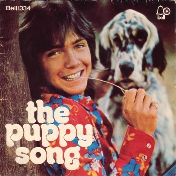 davidcassidy-daydreamerthepuppysong(2)