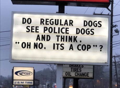 funny-sign-that-reads-do-regular-dogs-see-police-dogs-and-think-oh-no-its-a-cop