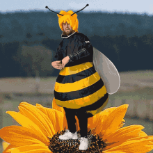bees suit