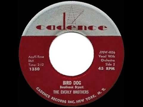 BIRD DOG RECORD