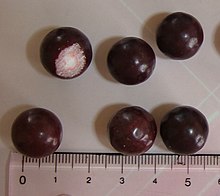 220px-Aniseed_balls_2006-01-03_(cropped)