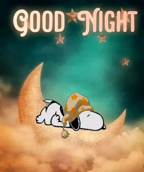 FB_IMG_16994152035352719