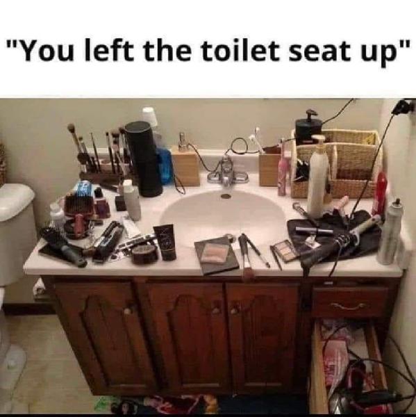 Toilet Seat