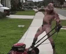 Lawn Mowing