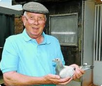 Flat Caps and Pigeons